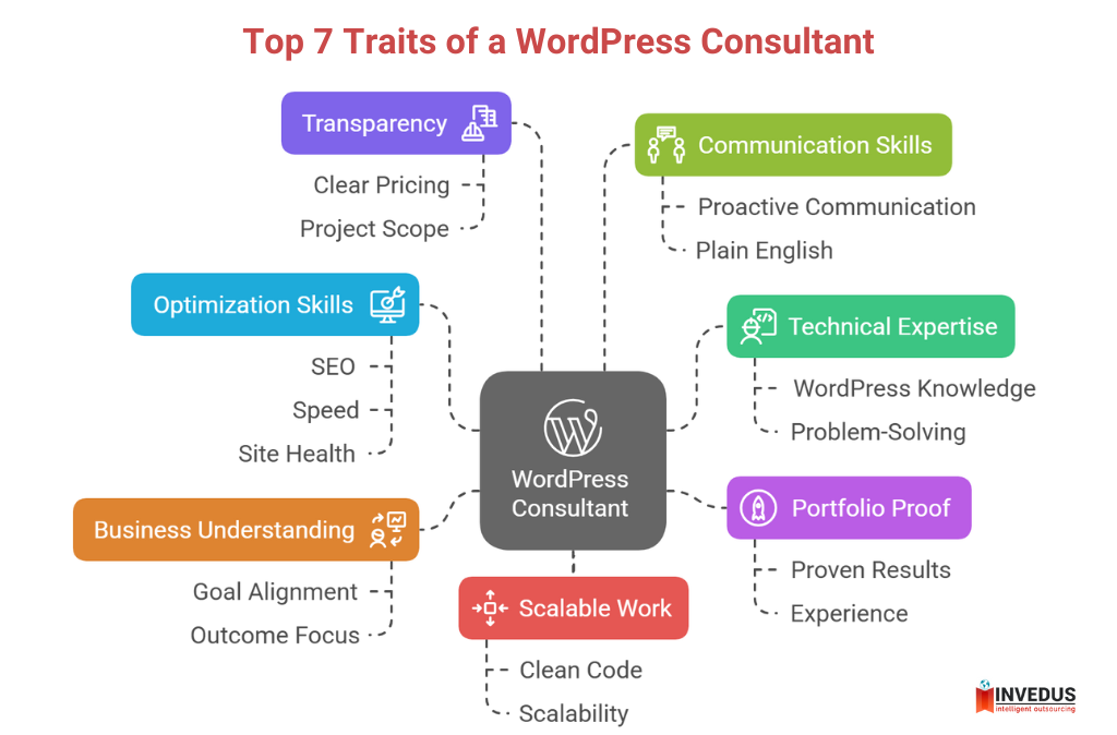 traits to Look for in a WordPress Consultant