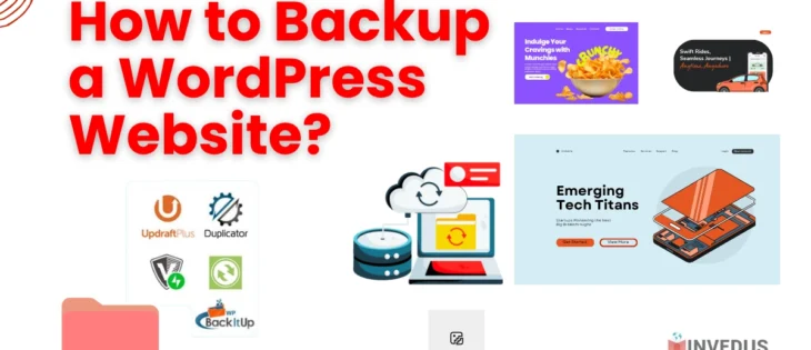 Hire a WordPress Consultant