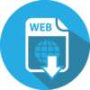 Web Portal Designing