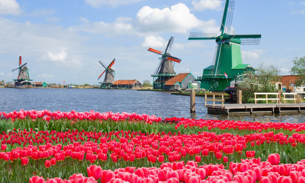 Cultural Fit and Embracing Diversity