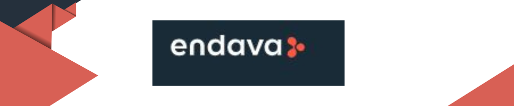 Endava best outsourcing software development company