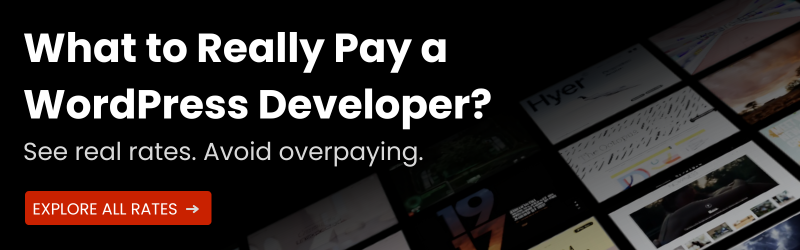 What to Really Pay a WordPress Developer?

