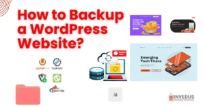 Hire a WordPress Consultant